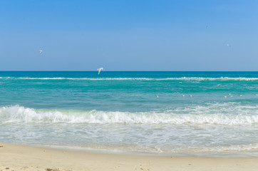 Odesa seascape in the summer season