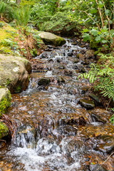 Arkansas Ozark mountain waterfall in spring