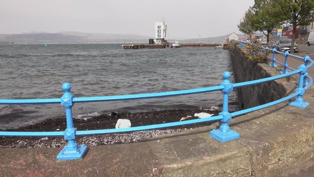 A swan on the shore at Greenock Esplanade with the Estuary Control Tower in the distance.