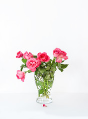 Beautiful roses in the vase.