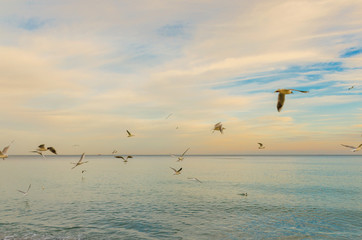 Odesa seascape in the summer season