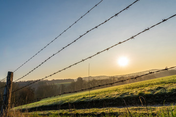 Fototapeta premium Barbed wire fence at sunrise