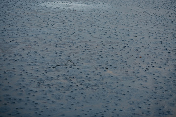 spilled oil got into the water