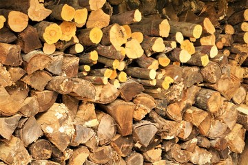 Firewood stack background texture, Spring in Georgia USA.