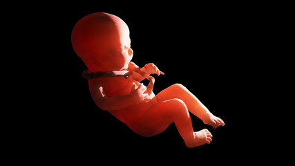 3d illustration of entanglement of umbilical cord around the fetus 