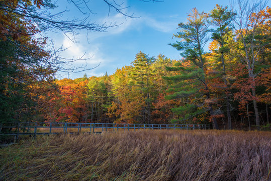 blue bridge & dry grass