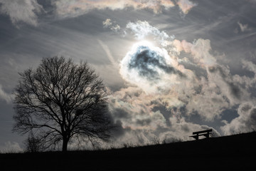 Fototapeta premium The sun hides behind a cloud, in the foreground stands a bench and a tree
