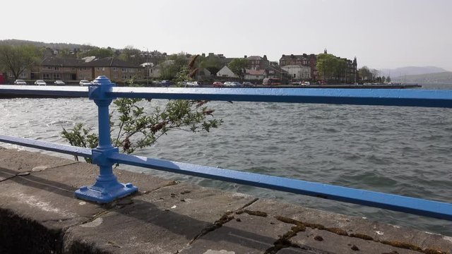 Scenic footage of a plant on an esplanade wall moving about in a strong wind behind blue metal railings.