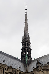 Fototapeta na wymiar Aguja de la catedral de Notre Dame