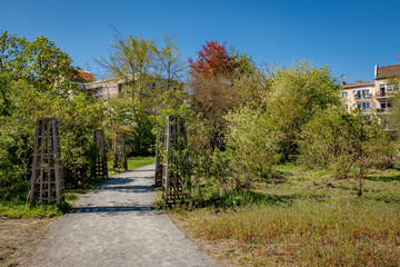 Frühling im Comenius-Garten in Berlin-Neukölln