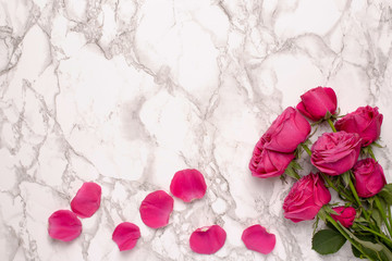 Pink roses on marble background with empty space. Top view.