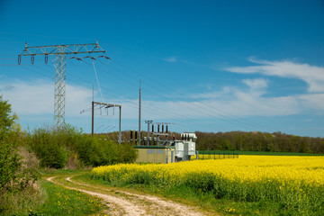 Fototapeta premium an electric transformer station stands on a canola field
