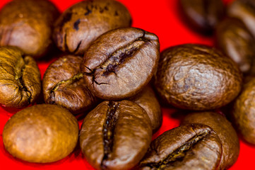 Brown roasted coffee beans on red background, close up, macro