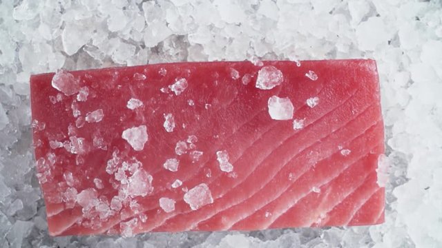 Close-up fresh tuna fish on chipped ice top view, cooking in slow motion