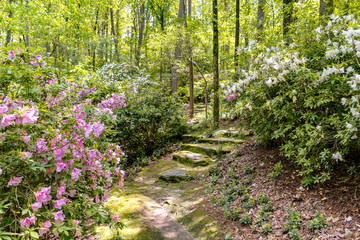 Stone path through the gardens woodlands in Arkansas