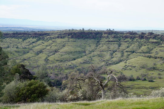 Bidwell