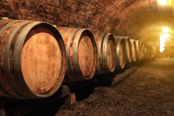 Wine barrels in wine-vaults in order