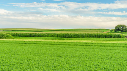 Amish country farm barn field agriculture in Lancaster, PA