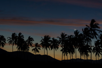 paisaje nocturno