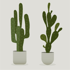 Illustration of Cactus in a pot 