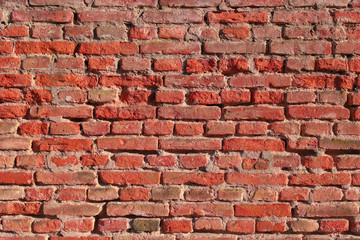 Fototapety  Living bricks background. Color of 2019 year. Modern trendy texture for design. Background of red bricks. Brick wall texture
