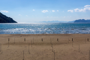 Beautiful view of a beach near the Iztuzu Beach in Dalyan, Mugla, Turkey