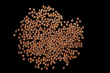 coffee beans isolated on black background op view