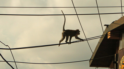 бали, индонезия, туризм