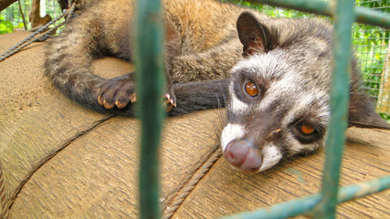 бали, индонезия, туризм