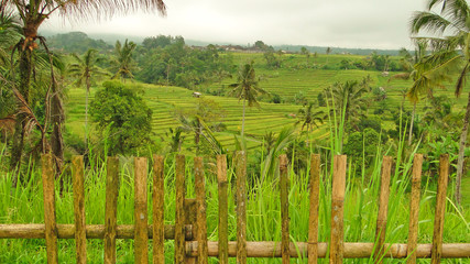 бали, индонезия, туризм