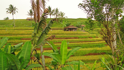 бали, индонезия, туризм