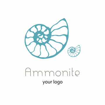 Nautilus Shell Logo Photos Royalty Free Images Graphics Vectors Videos Adobe Stock