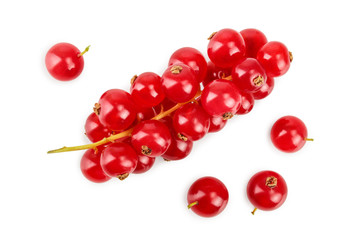 Red currant berry isolated on white background. Top view. Flat lay pattern