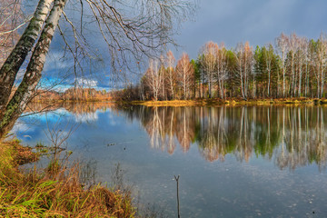 Autumn landscape sunny warm day in the forest by the river
