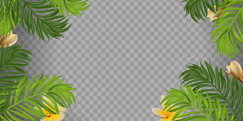 Fototapeta na wymiar Summer Tropical palm leaves with Thailand flower Frangipani (Plumeria) frame isolated. Summer mood. Palm leaves and flowers of tropical plants. Vector illustration