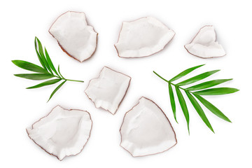 piece of coconut with leaves isolated on white background. Top view. Flat lay