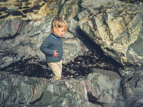 Little toddler climbing on rocks on the beach