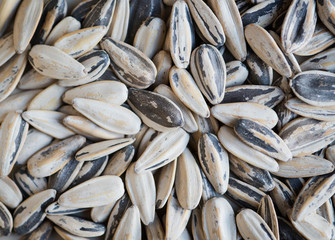 sunflower seeds background