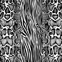 Animal print, leopard texture background