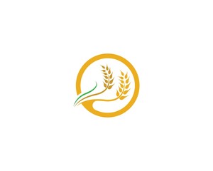 Obraz premium Wheat vector icon illustration