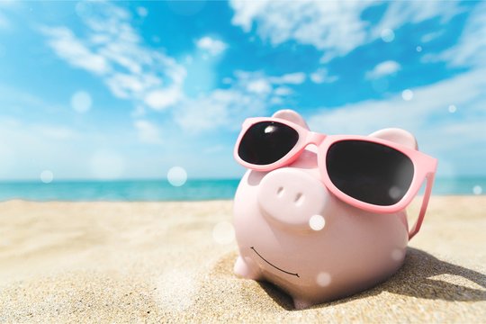 Piggy Bank Wearing Sunglasses Relaxing At The Beach