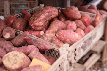 Sweet potato at street food