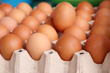 Hen egg in the market