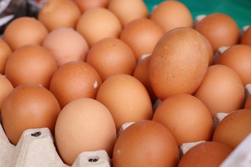 Hen egg in the market