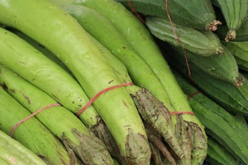Fresh eggplant the market
