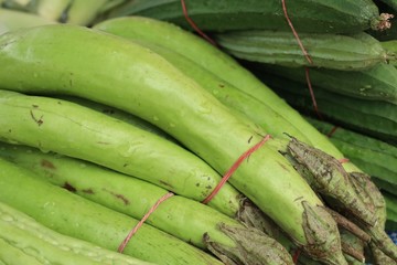 Fototapeta premium Fresh eggplant the market