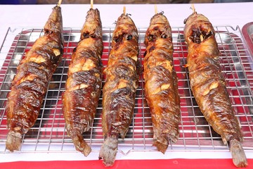 grilled fish at street food