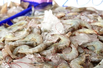 fresh shrimp at street food
