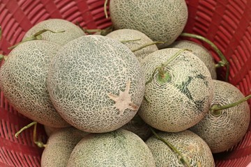 cantaloupe melon at street food