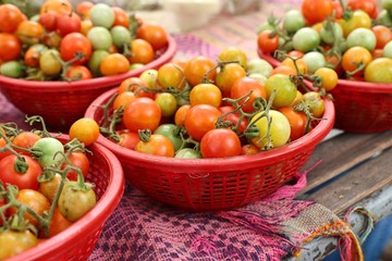 tomatoes at the market